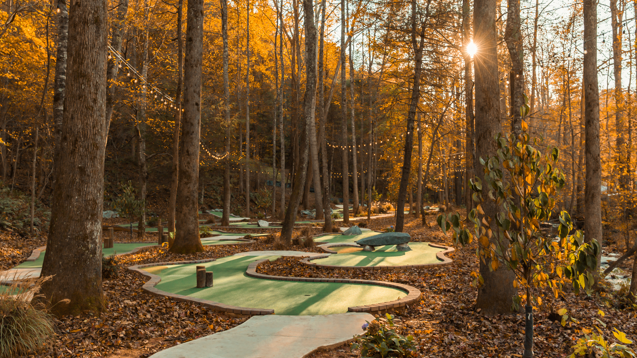 Enjoy on-site attractions like mini golf at our top-rated North Carolina campground.