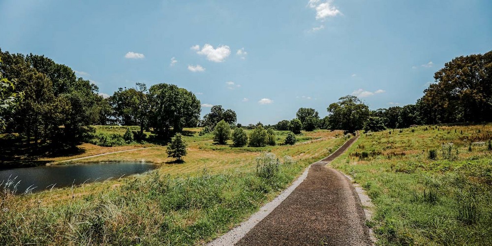 Memphis, TN hiking isn't complete without a visit to TO Fuller State Park Trail!