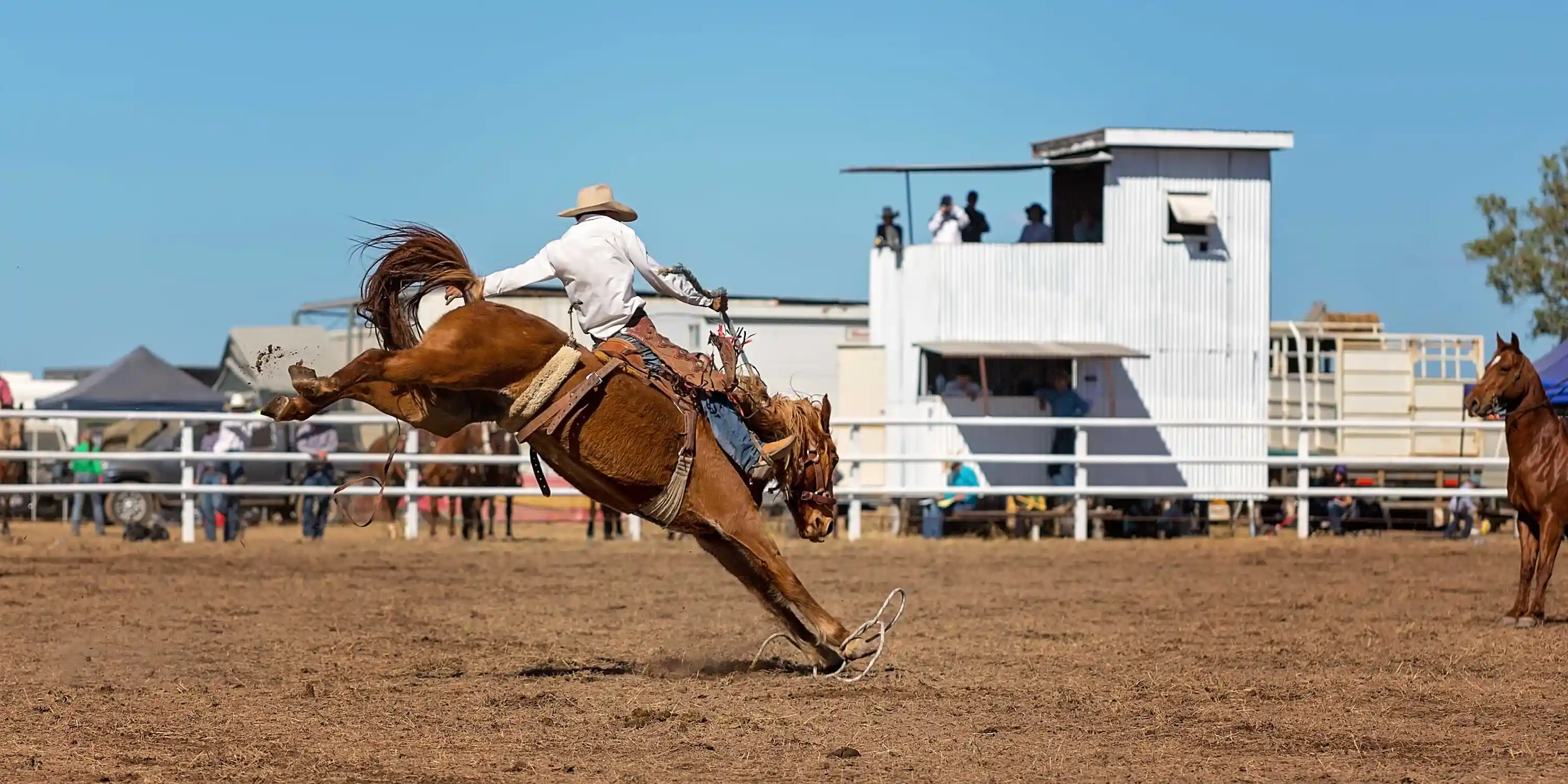 A cowboy riding a bucking horse at a Texas Rodeo