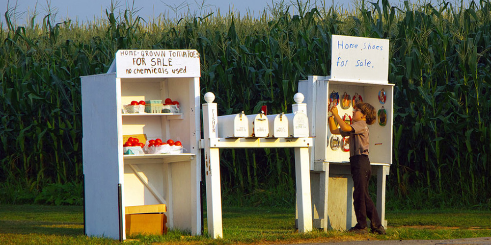 Amish attractions are a great thing to do in Lancaster, PA with kids.