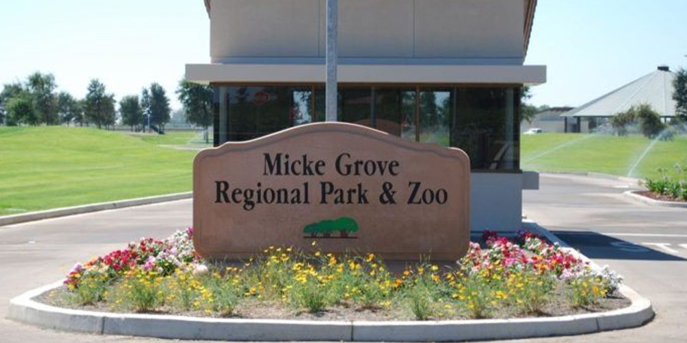 Visit the Micke Grove Zoo on your trip to Lodi, CA