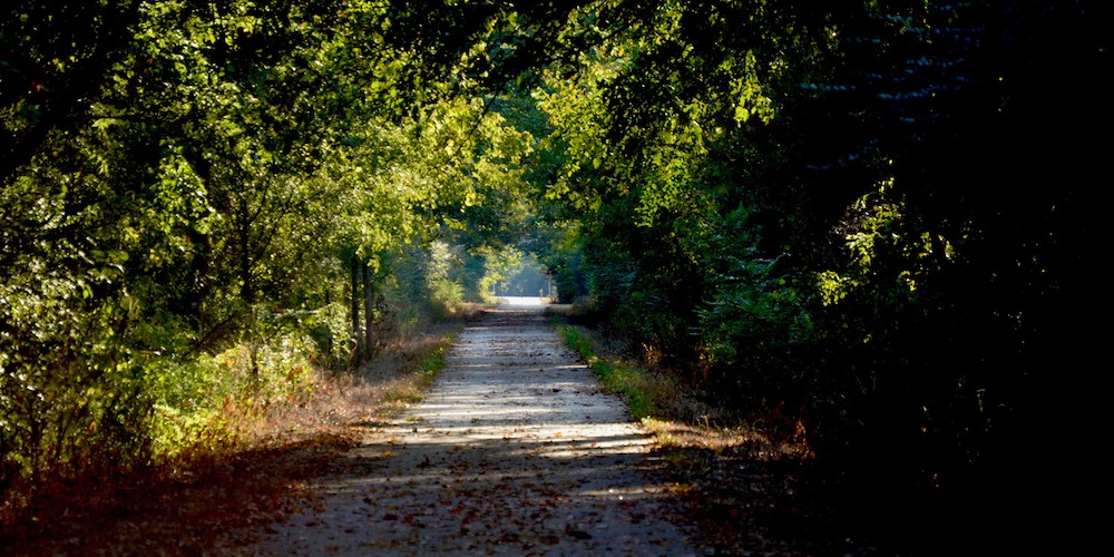 Walk or bike on this Memphis TN hiking trail!