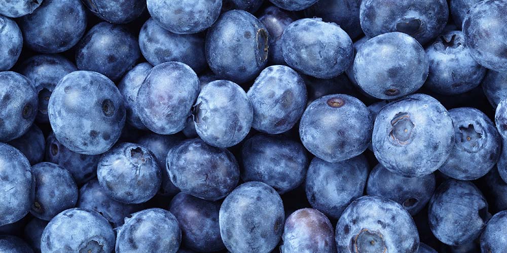 The Blueberry Hills Farms is a great stop on your road trip from Dallas that's fun for all ages. 