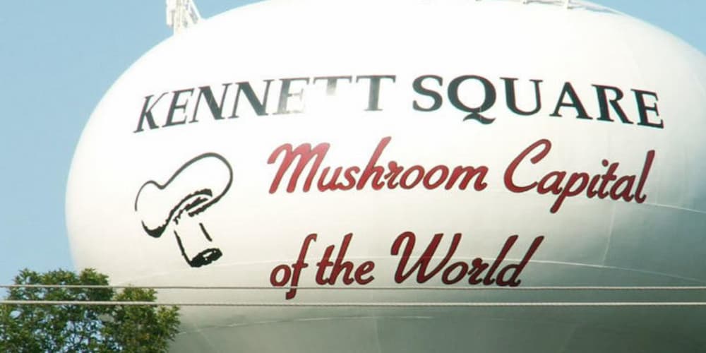 Visit a unique event in Philadelphia, the Kennet Square Mushroom Festival.