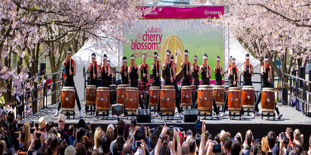 People playing the drums at the Subaru Cherry Blossom Festival - a fun thing to do in Philadelphia with kids.