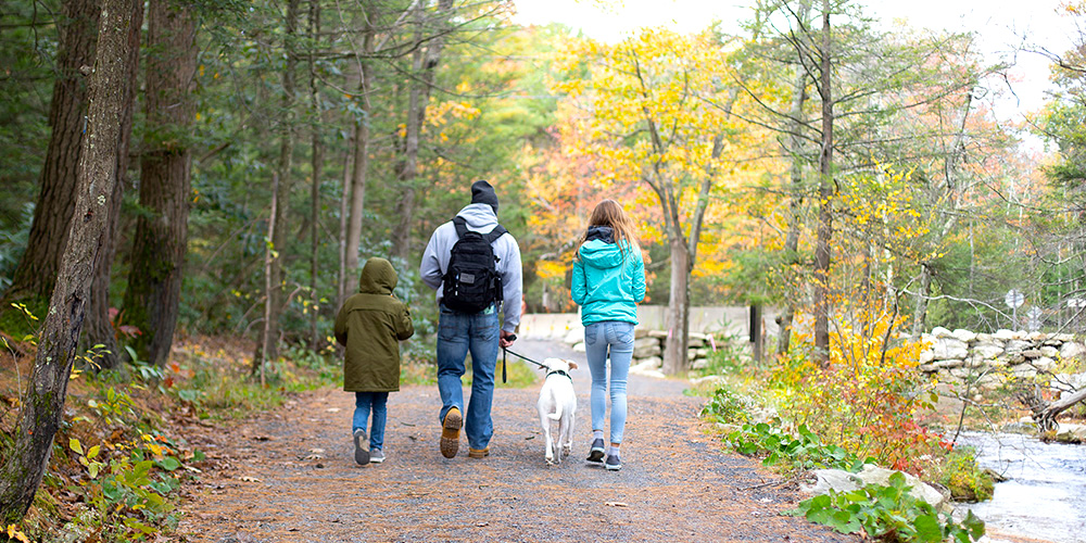 Book a cabin rental near New York City and Lake Minnewaska State Park.