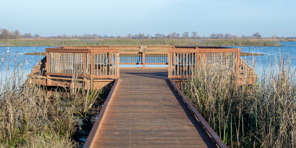 Add The Cosumnes River Preserve to your list when taking a road trip from San Francisco to Sacramento.