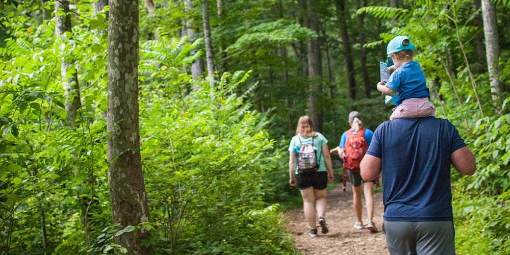 family hiking trails