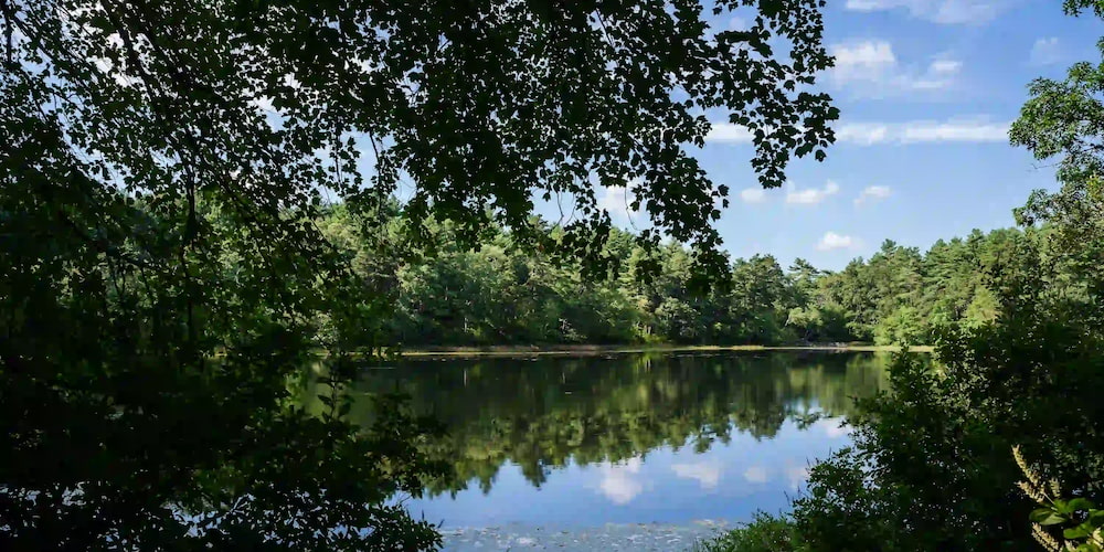 Appreciate the water in Ben's Pond or the trees in our wooded acres!