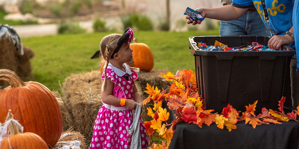 The best Halloween activities at a campground. 