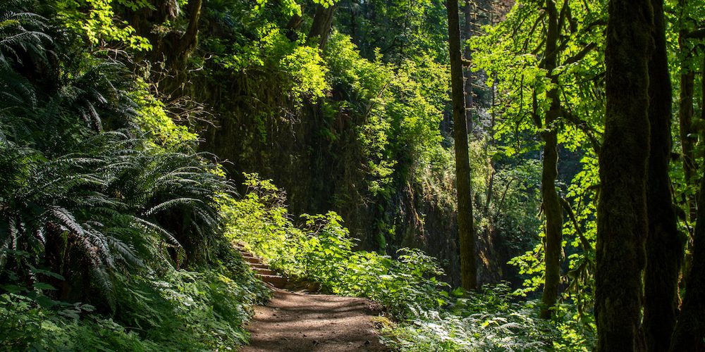 Walk as long or as little as you'd like with this hiking trail near Memphis!