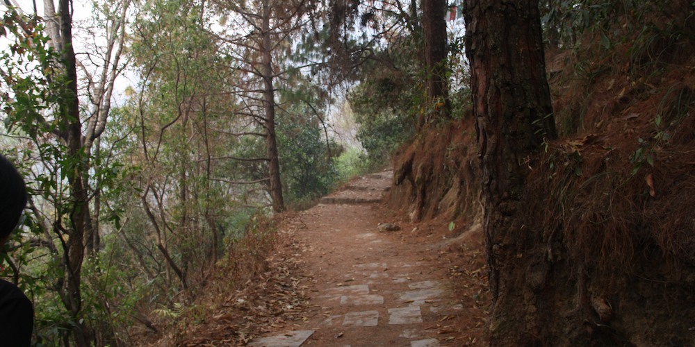 Learn while you walk when you check out this hiking trail near Memphis!