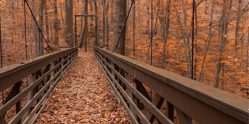 For the best hiking near Cleveland, check out Cherry Lane Trail.