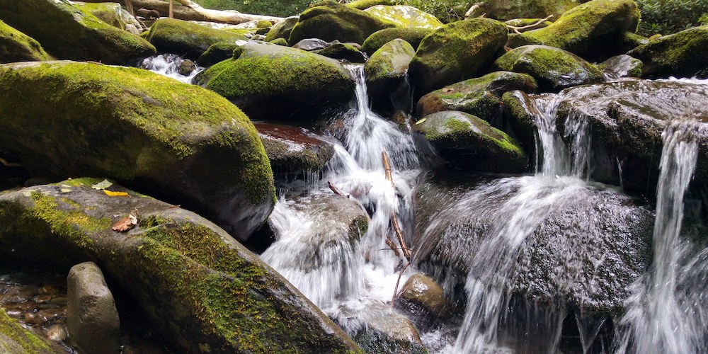 Take a quick stroll on this hiking trail near North Conway!