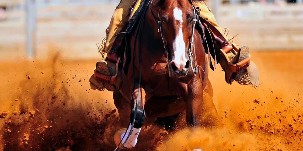 Cowboy riding a horse in the Austin Fair & Rodeo.