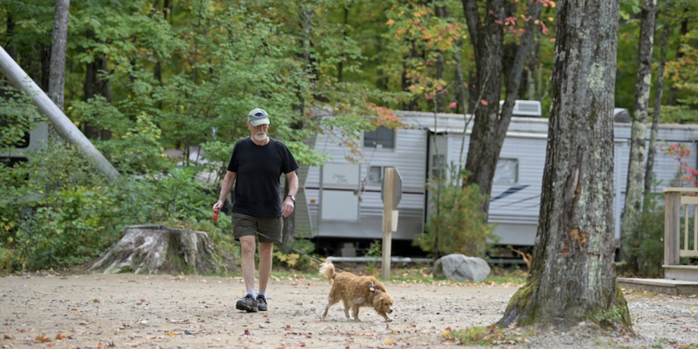 Going for a long walk is just what you, and your pet, need!