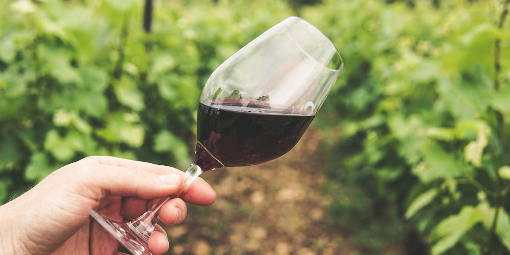 Glass of red wine at the Michiana Wine Festival in Fort Wayne, IN.