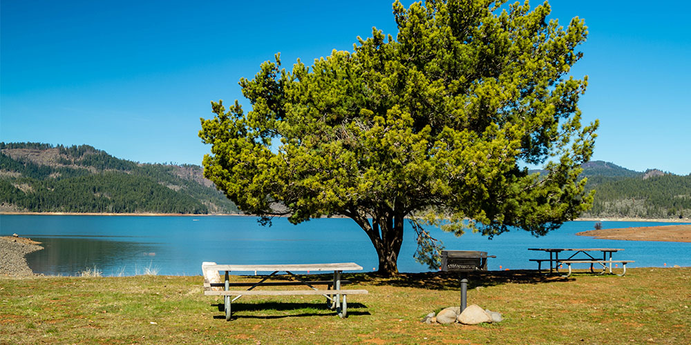 Enjoy the great outdoors while hiking near Wichita Falls, TX at Lost Creek Reservoir State Trailway.