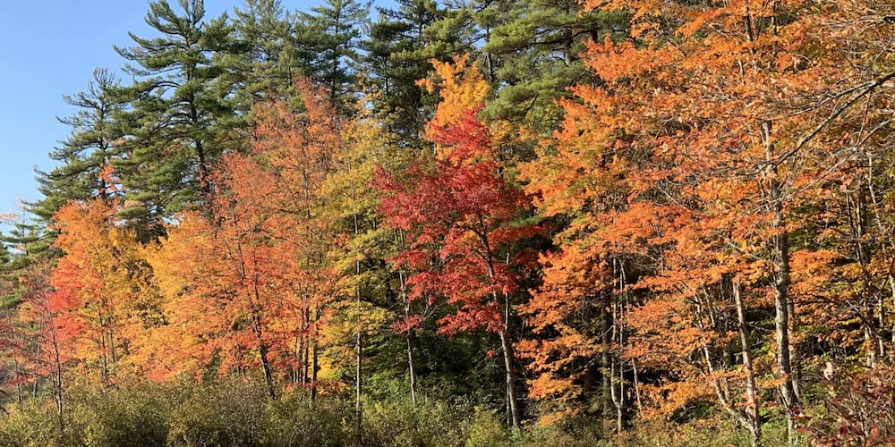 Admire the beautiful colors at our Camp-Resort during your autumn camping trip!