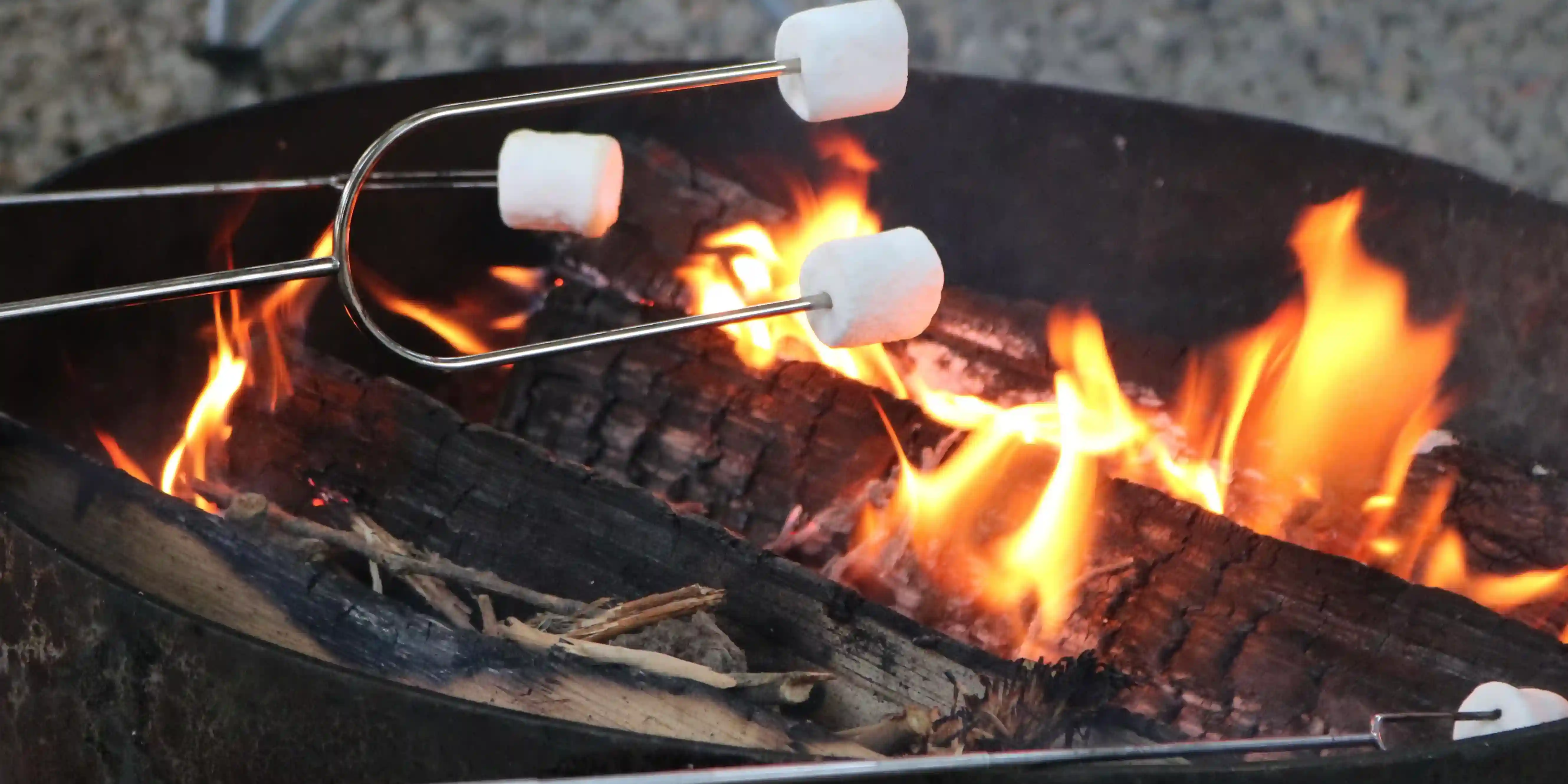 Roasting s'mores over a firepit at Camp Fimfo