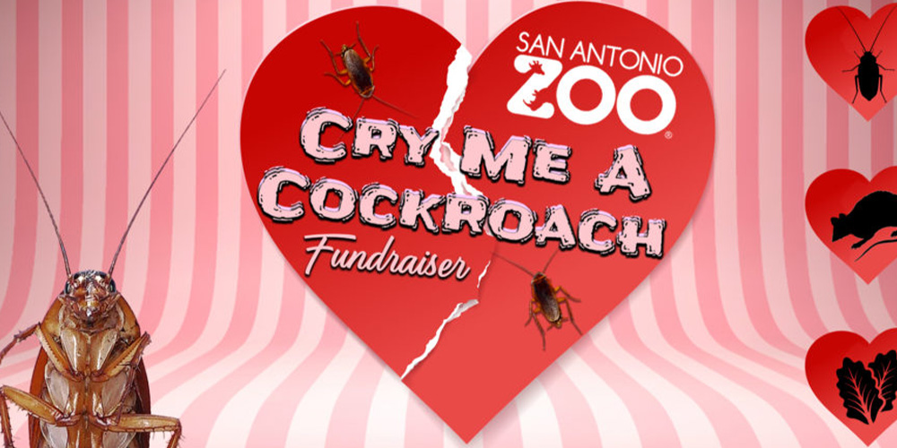 Cry Me A Cockroach is a unique event in San Antonio!