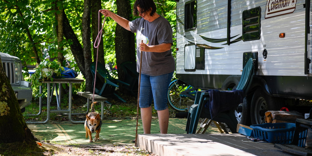 Check out our 4 pet-friendly campsites so you can experience the joy of RV camping with pets!