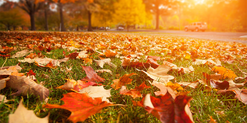 Enjoy the fall foliage during your fall camping trip at Westward Shores