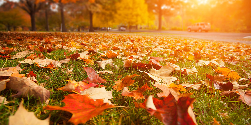 Fall colors during autumn camping