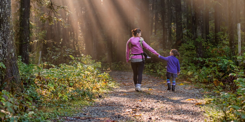 Experience a getaway with your children when you book a Jellystone Park™ trip!