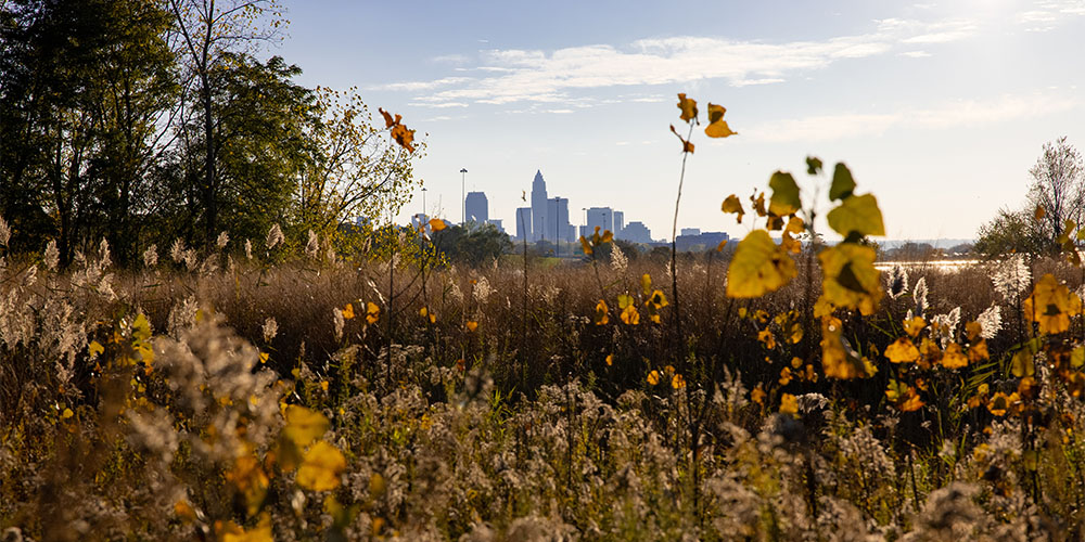 Enjoy great hiking near Cleveland at the Cleveland Lakefront Nature Preserve.