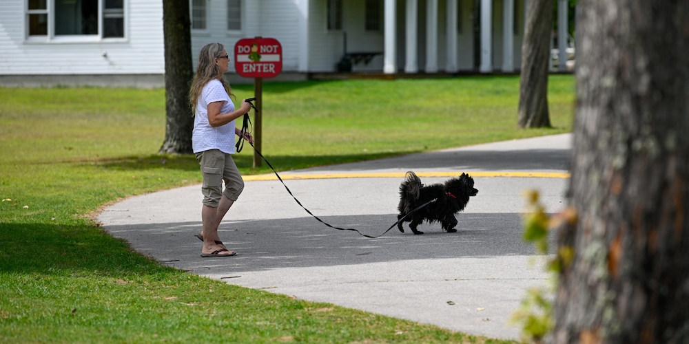 Take your dog for a walk around our Camp-Resort!