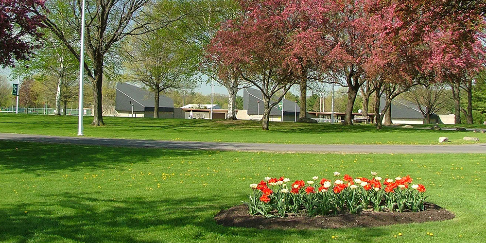 Bring your family to this spring picnic in Albany! 