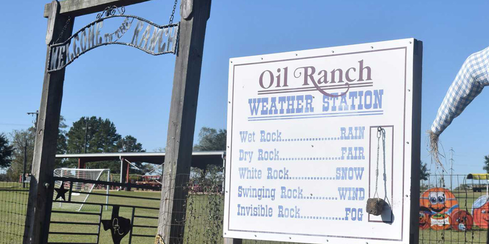 Experience the farm life at its finest when visiting the Oil Ranch.