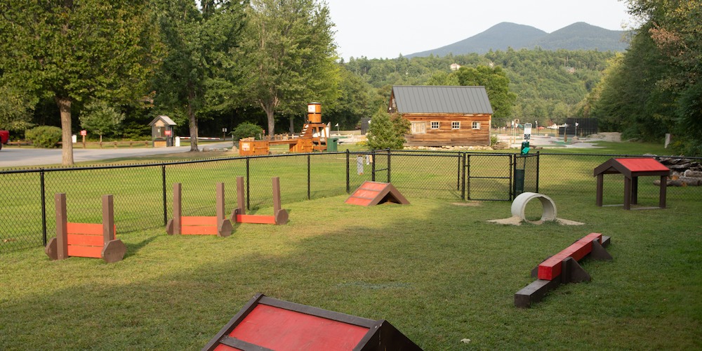 Let your pet run around in our fenced-in Bark Park!