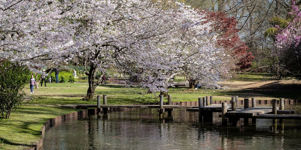 The Memphis Botanic Garden is one of the most beautiful places to go in Memphis!