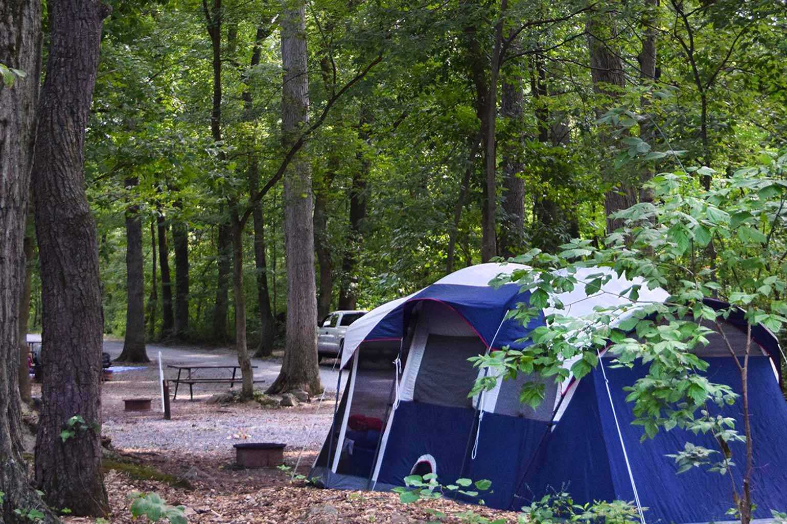 Primitive Tent Sites