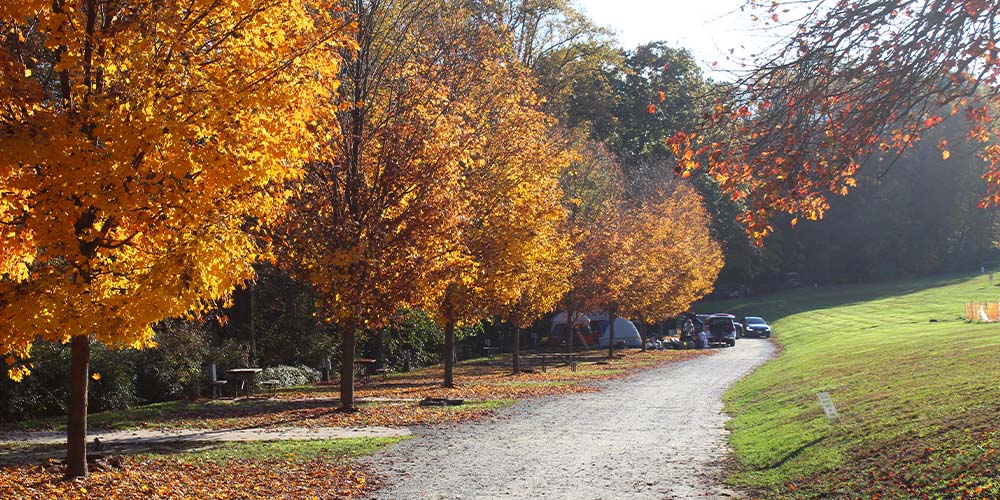 Fall camping just got better at our Camp-Resort!