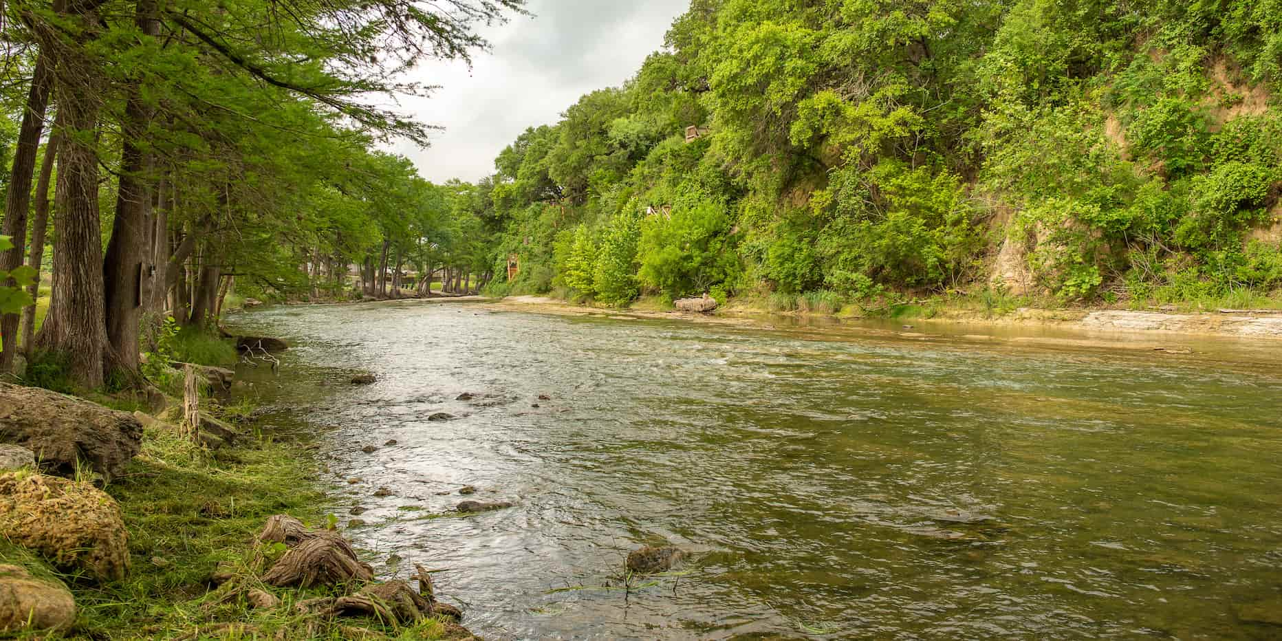 View of the Guadalupe River in New Braunfels, Texas, stocked with trout!