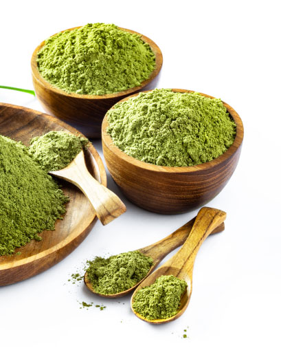 Science Natural Supplements - Moringa