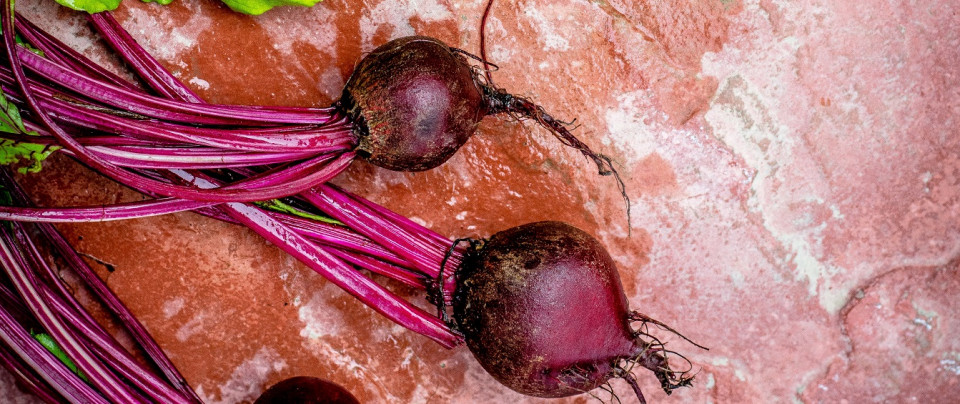 Beetroots – Amazing Benefits With a Few Risks