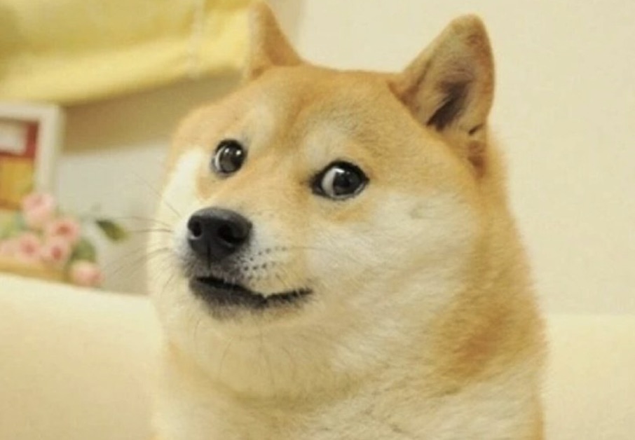 what-is-memecoin-dogecoin