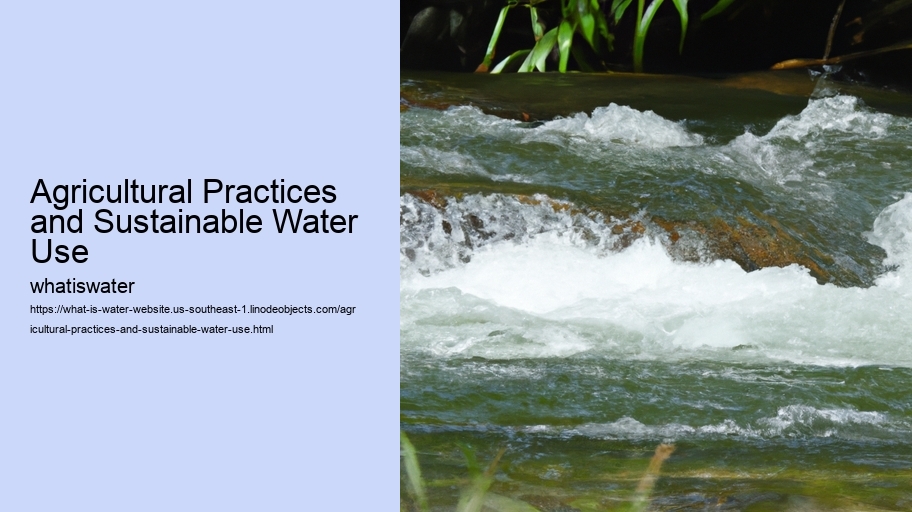 Agricultural Practices and Sustainable Water Use 