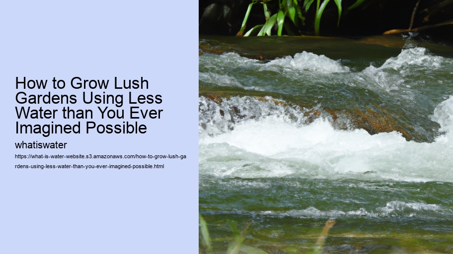 How to Grow Lush Gardens Using Less Water than You Ever Imagined Possible