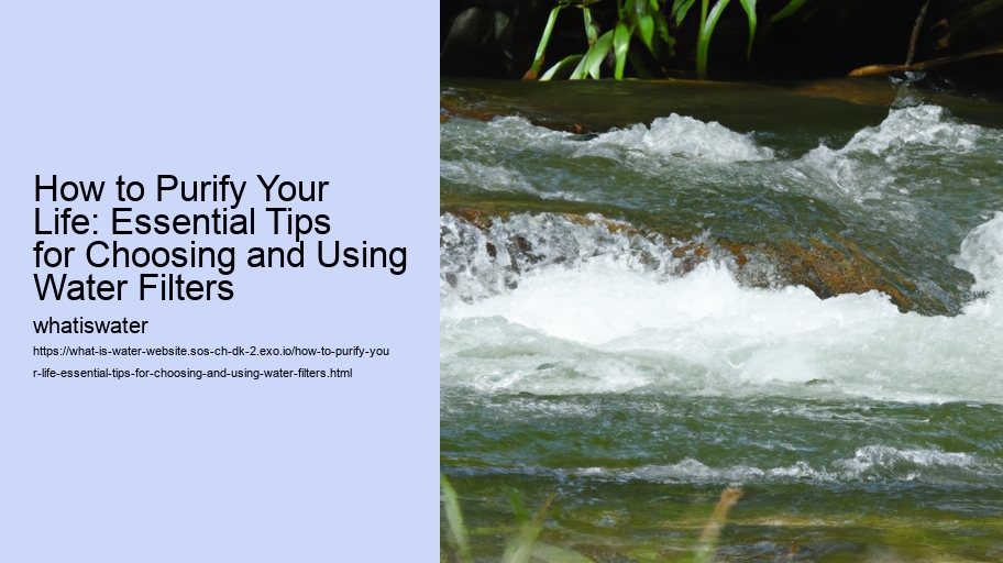 How to Purify Your Life: Essential Tips for Choosing and Using Water Filters