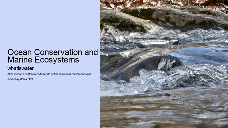 Ocean Conservation and Marine Ecosystems