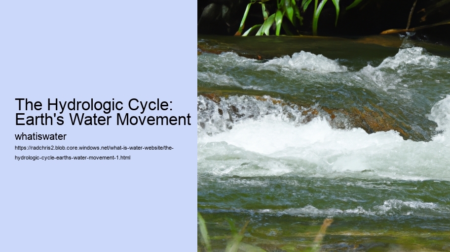 The Hydrologic Cycle: Earth's Water Movement