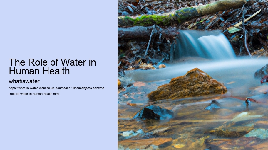 The Role of Water in Human Health 