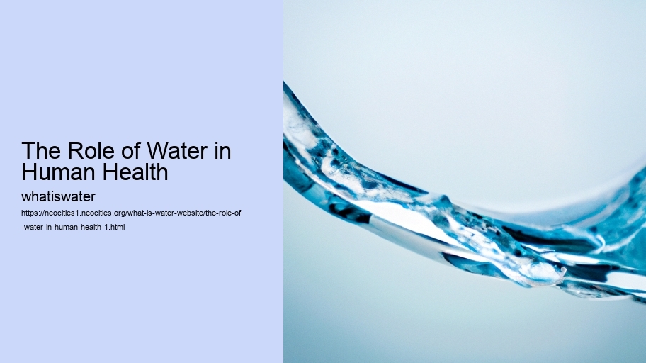 The Role of Water in Human Health