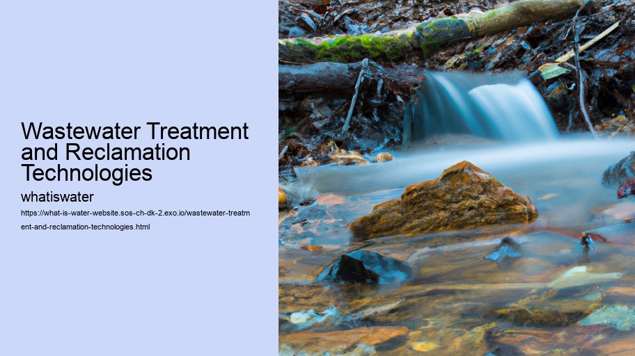 Wastewater Treatment and Reclamation Technologies
