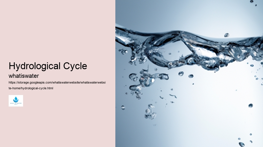 Hydrological Cycle